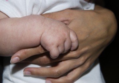 Bebis hand